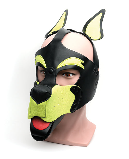 665 Playful Pup Hood. by 665 INC