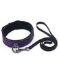 Spartacus Galaxy Legend Collar & Leash - Purple by Spartacus