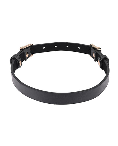 Sex & Mischief Double Buckle Day Collar