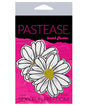 Pastease Premium Wildflower - White/Yellow O/S