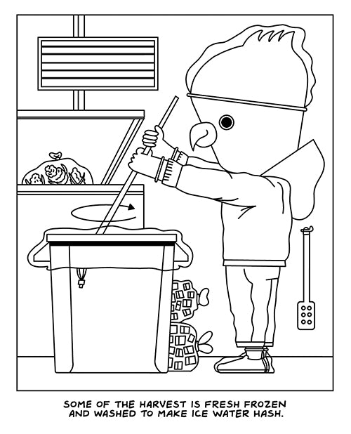 Wood Rocket A Visit to the Cannabis Farm Coloring Book by Wood Rocket LLC