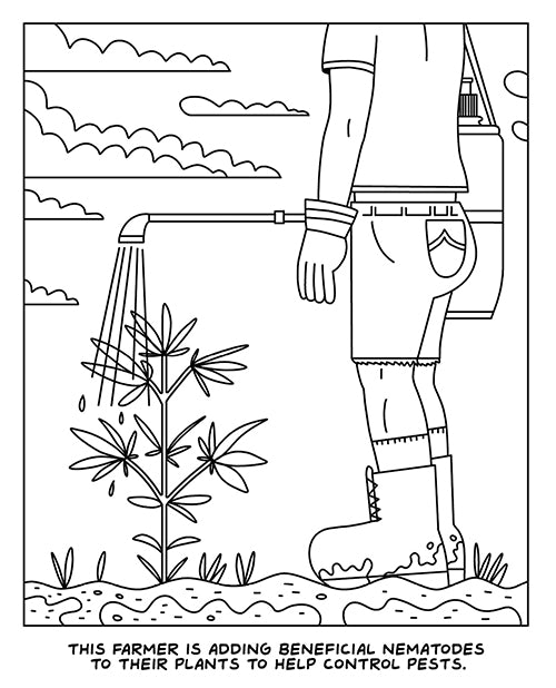 Wood Rocket A Visit to the Cannabis Farm Coloring Book by Wood Rocket LLC