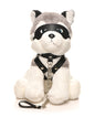 Master Series Max the Fetish Pup by Xr LLC