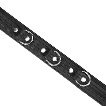 Liebe Seele- Black Bond Collar and Leash with Soft Lining