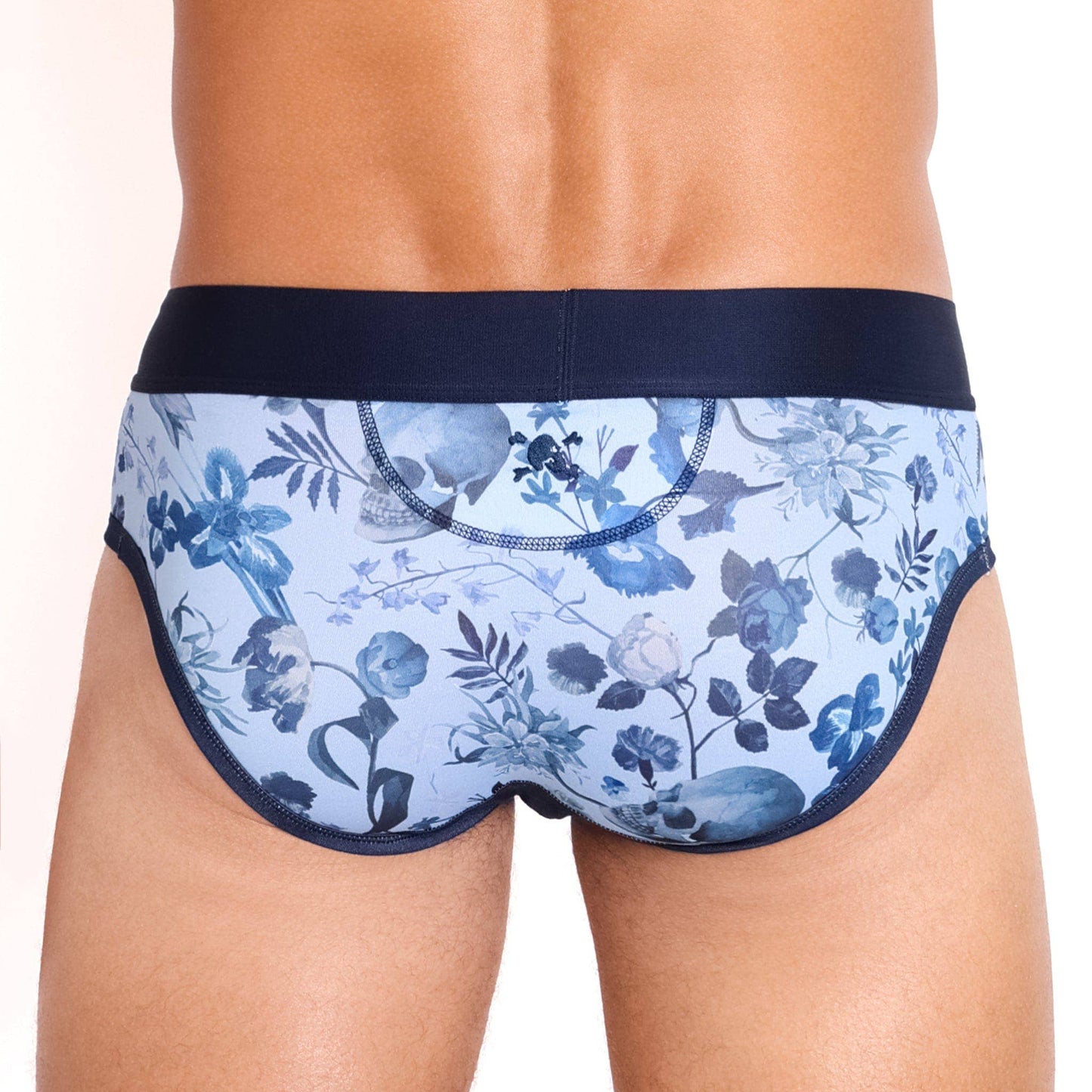 Hand Painted Dutch Floral Brief Sky