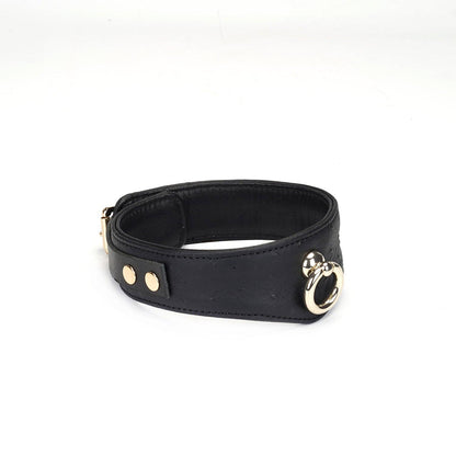 Demon's Kiss Leather Curved Collar with Locking Buckle