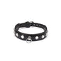 Liebe Seele Premium Leather Choker with Diamonds Black