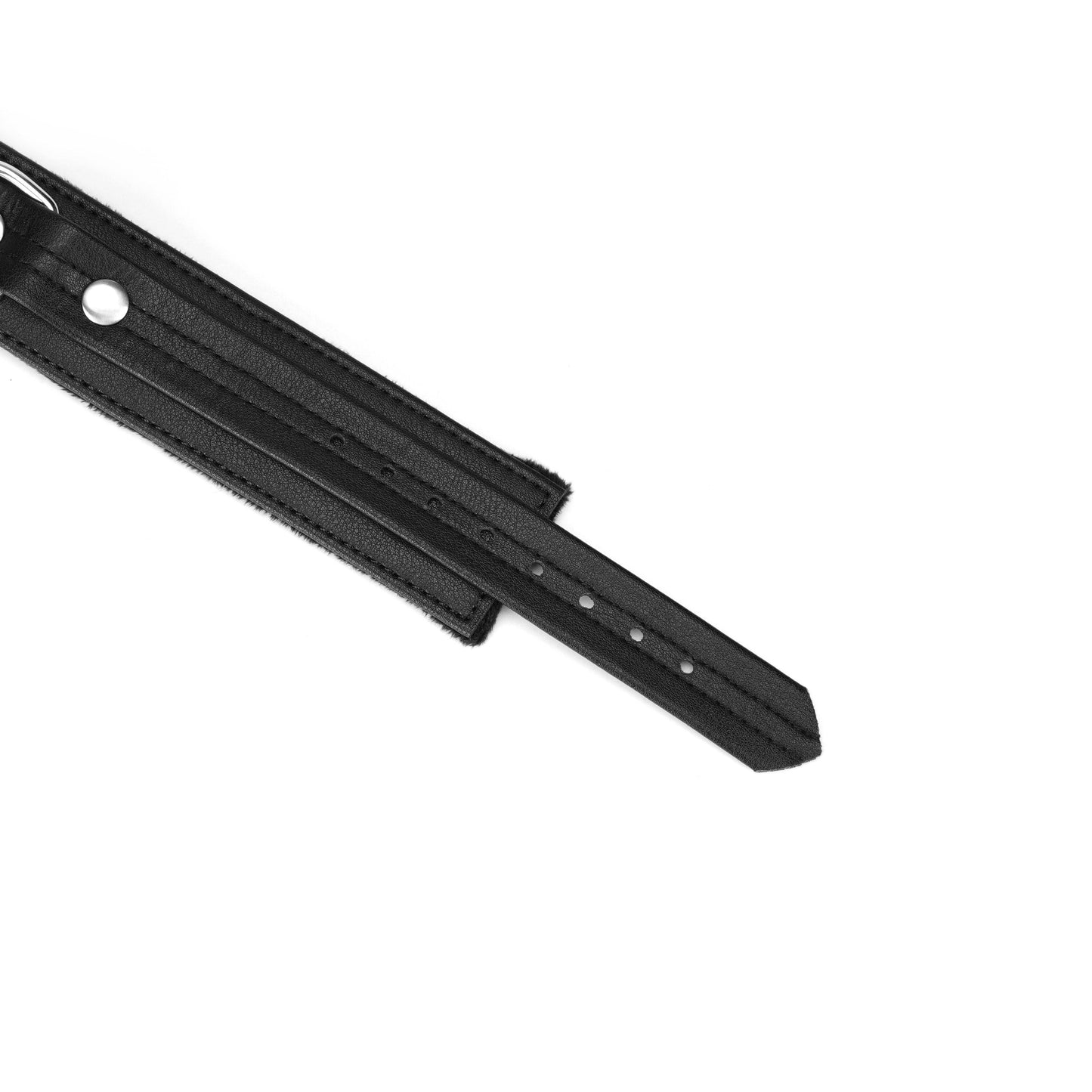 Liebe Seele- Black Bond Collar and Leash with Soft Lining