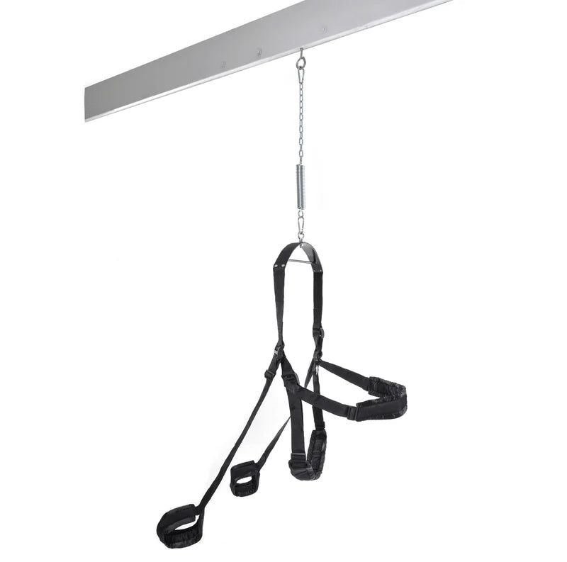 Fetish Fantasy Series Sex Swing - Black by Pipedream Products